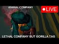 ANIMAL COMPANY VR LIVE (with viewers)