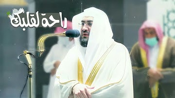إنك لا تهدى مَنْ أحببت | تلاوة تشرح الصدر وتنير ظلام هذة الليالي من سورة القصص من د. بندر بليلة