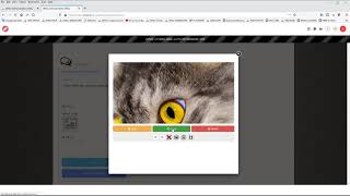 The Comments System Explained