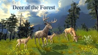 Deer of the Forest (by Wild Foot Games) Android Gameplay [HD] screenshot 2