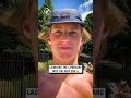Lifeguard goes for a dip 🛟😂                    🎥: Instagram / josh_plumb