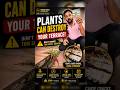 A Small Plant Can Destroy Your Terrace #waterproofing #concretecrackrepair #home