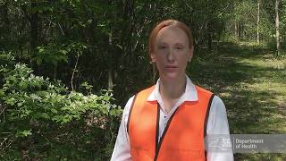 Tick Prevention: Collection