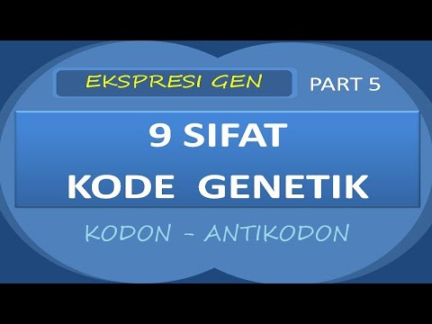 9 SIFAT KODE GENETIK | Ekspresi Gen Part 5 | BELAJAR GENETIKA