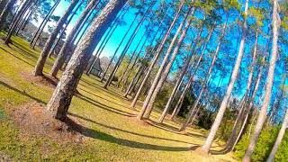 Nye Park, tree slalom FPV