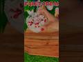 #fruit cream at home#all seasonal fruits dessert #shorts#shorts video viral#video #virals shorts