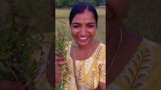 കഞ്ഞുണ്ണി തേക്കാറുണ്ടോ 😊താരൻപോകാൻ best ആണ് 🥰🥰#kanjunni #tharan #homeremedy