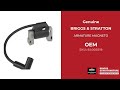 84003819 ARMATURE MAGNETO - Briggs & STRATTON Genuine - Briggs and Stratton - Genuine OEM Part Part