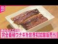 【ウナギ】卵から人工ふ化  完全養殖ウナギを世界初試験販売へ