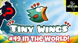 Interview With A Top 1% Tiny Wings Player!