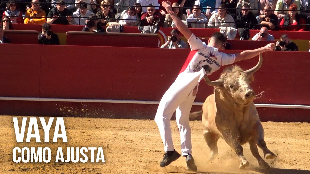 Increíble como Ajusta Fallas Valencia 2025