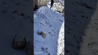 Zero Points Par Hot Water