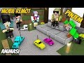 Lucu Youtuber Main Mobil Remot Movie - Minecraft Animation