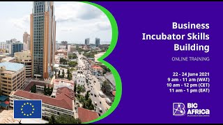 BIC Africa - Business Incubator Skills Training (Session 3)