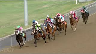 Vidéo de la course PMU PRIX GOLD CIRCLE HORSES TO FOLLOW PODCAST FM 72 HANDICAP