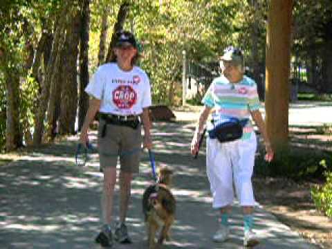 CROP Walk Estes Park Sept 26 2010