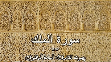 سورة الملك (12-14) بصوت الشيخ أسامة الدهلوي