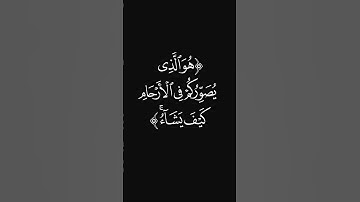 (لا يخفى عليه شيء) #قرآن #ليدّبّروا_آياته #راحة_نفسية #شاشه_سوداء #سورة_آل_عمران #عبدالرحمن_ريس