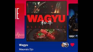 Mauvais Djo - Wagyu ( Version Skyrock )