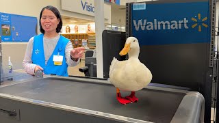 I took my duck to Walmart