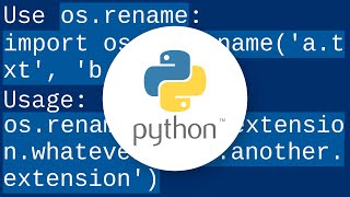 Celebrity How to rename a file using Python Wealth