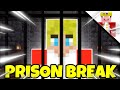Philza and Technoblade try to BREAK the PRISON.. (DREAMSMP)