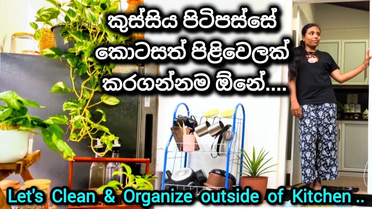 නිවසක ඉදිරිපස වගේම පිටුපස කොටසත් ලස්සනට අස්කරමු || Organizing & Cleaning Tips ||