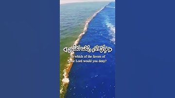 مرج البحرين يلتقيان سورة الرحمن | تلاوة هادئة