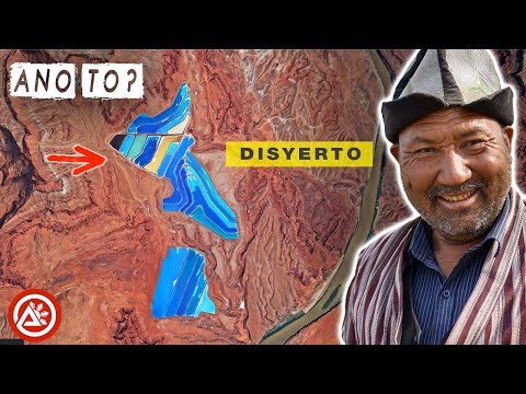 Video: Ano ang biome ng disyerto?