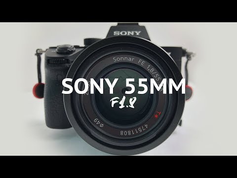 A seriously SHARP Lens for the Sony A7iii - Sony 55mm F1.8