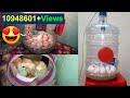DIY - Homemade Incubator || How To Make Egg Incubator Simple And Easy (Hatching Chicken Eggs)