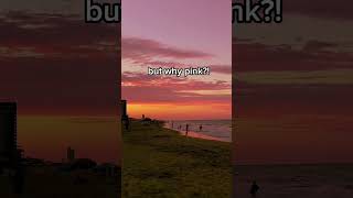 Why is the sunset PINK not RED?! #science #sunset #shorts #facts