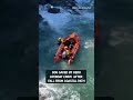 Hero RNLI volunteers carried out a dramatic rescue of a dog after she plunged from a cliff 😳