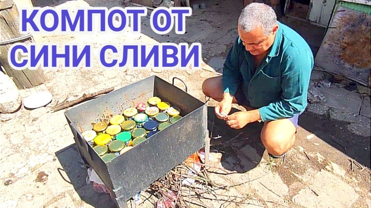 КОМПОТ ОТ СИНИ СЛИВИ! КАК ДА СИ ПРИГОТВИМ ЗИМНИНА С ПЛОДОВЕ ОТ ЛИЧНАТА ГРАДИНА! ДА СВАРИМ КОМПОТИТЕ!