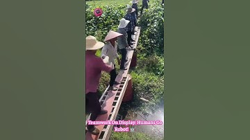 Human Conveyor: Watch Them Pass Goods With INSANE Speed & Teamwork! #ManualLabor #TeamworkGoals  📦🤝🤯