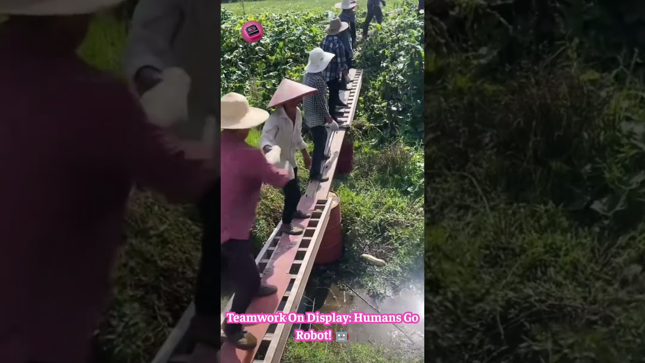 Human Conveyor: Watch Them Pass Goods With INSANE Speed & Teamwork! 