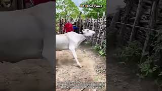An Other Pulse 대표 영상 썸네일