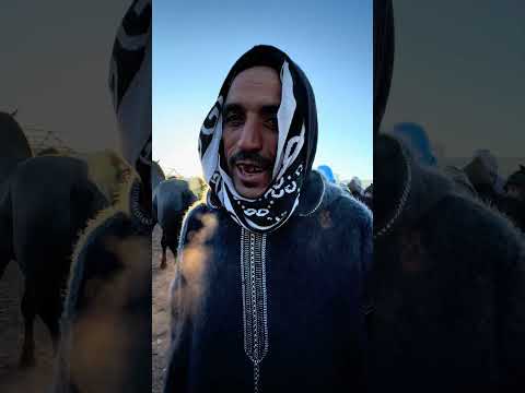 لبيع و شراء مع بادريس في سوق سطات