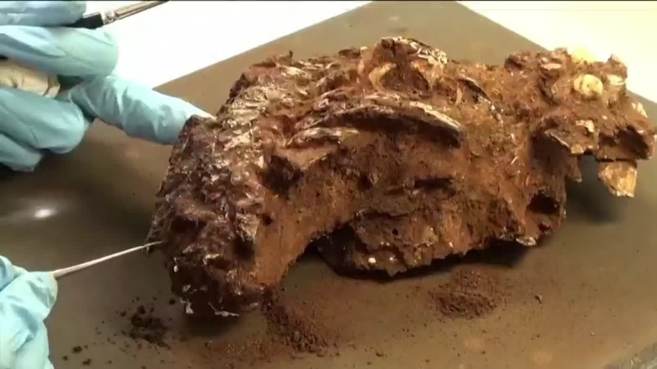 Archaeologists in Kenya discover oldest known human burial site in Africa