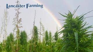How Farmers Will Save the World: Inventor Bruce Dietzen & Carbon Negative Technology, Industrial...