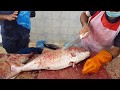 Fillet a Whole Salmon/Salmon Cutting Skills/Salmon Fish Cutting & Chopping/How To Fillet a Salmon