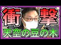 乃木坂46 天空の豆の木 が衝撃的すぎた件 【 井上和 筒井あやめ 】