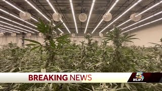 Ohio Senate approves changes to recreational marijuana bill