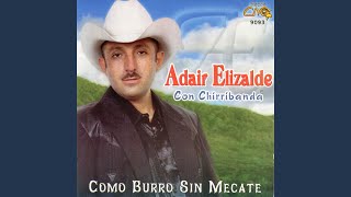 Video thumbnail of "Adair Elizalde - Como Burro Sin Mecate"