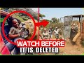 If Moment In African Safari Trip WASN'T FILMED, You Won’t Believe It Happened! Caught on Camera
