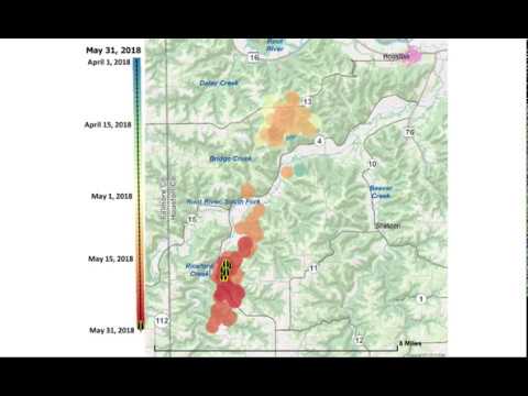 Whitetail Deer Movement Chart