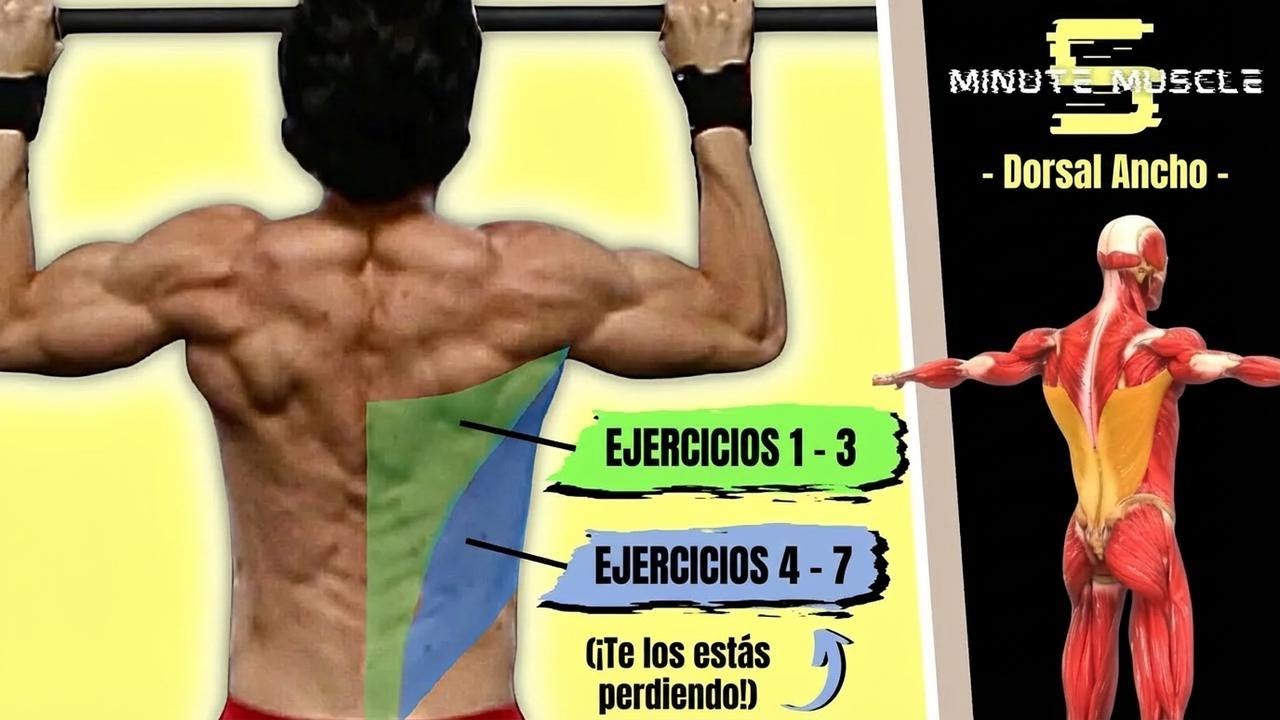 5 secretos clave para entrenar la espalda que nadie te cuenta ¡Haz crecer tus dorsales!