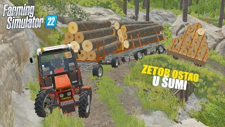 🌲Zetor ostao u šumi🌲| Šumarski putevi | #ep2