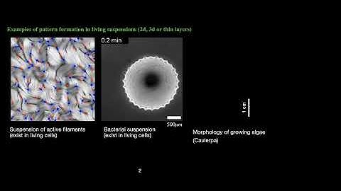 Dr. Mehrana Nejad: Geometry and Dynamics of Living Films...