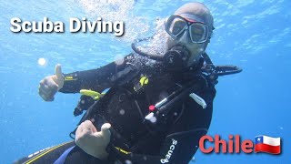Scuba Diving Off The Cost Of Easter Island Chile 4K